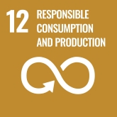 Goal Twelve:Ensure sustainable consumption and production patterns