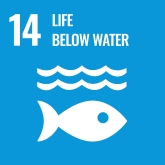 Goal Fourteen: Conserve and sustainably use the oceans, seas and marine resources for sustainable development