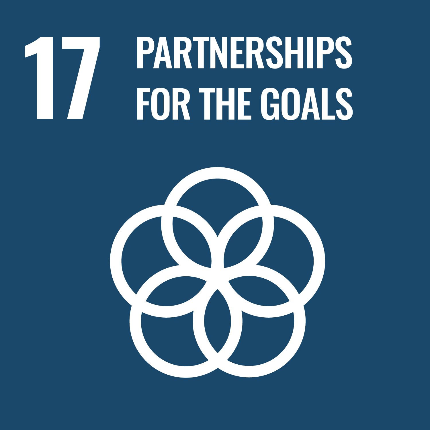 Goal Seventeen: Strengthen the means of implementation and revitalize the Global Partnership for Sustainable Development