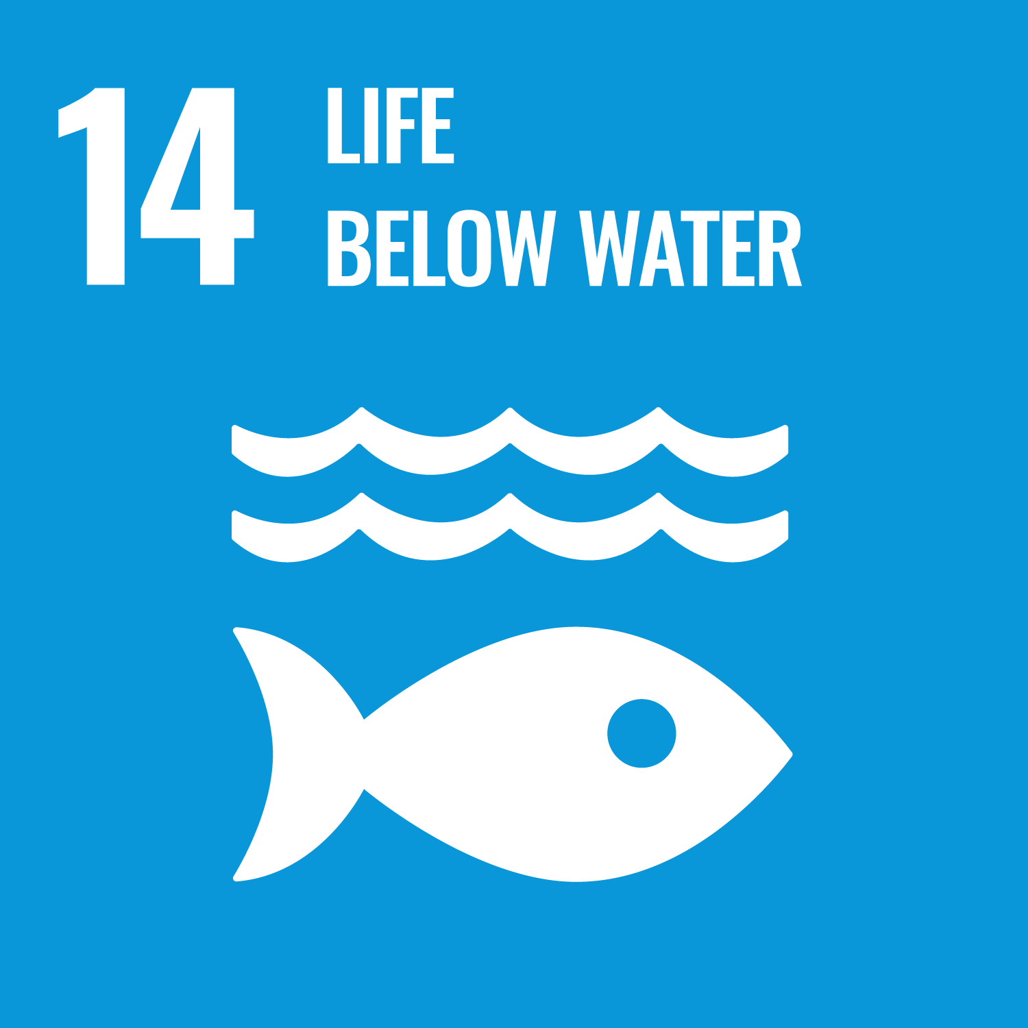 Goal Fourteen: Conserve and sustainably use the oceans, seas and marine resources for sustainable development